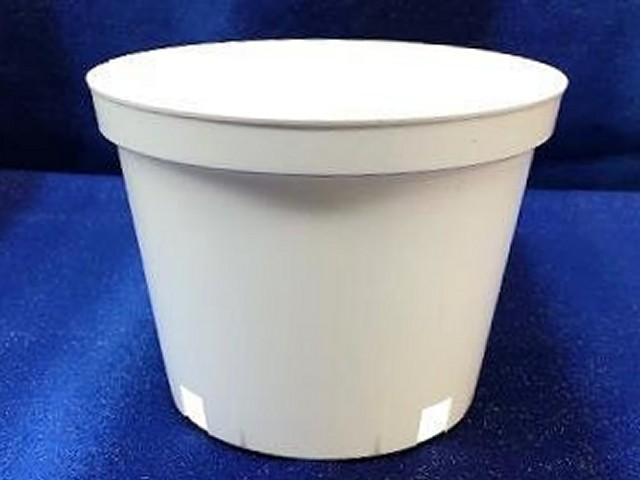 5" Round White Pot - Click Image to Close